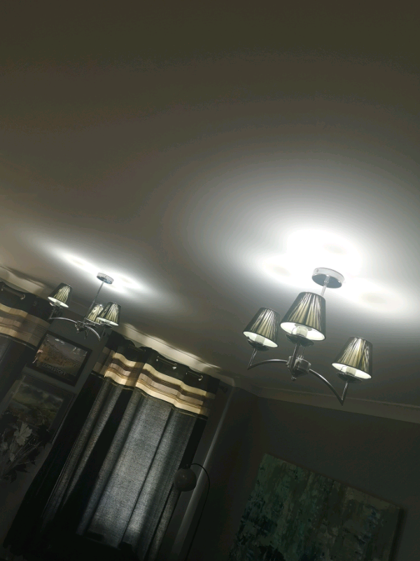 carlton modern ceiling light